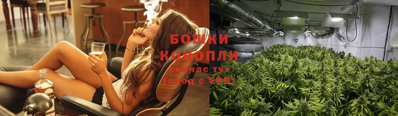 Конопля Ganja  цена   Артёмовский 